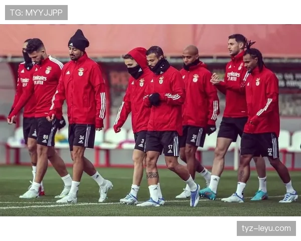 本菲卡欧战表现抢眼，强势晋级在望