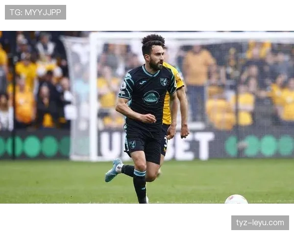 诺维奇降级获补偿金，全力提升战力剑指英超重返