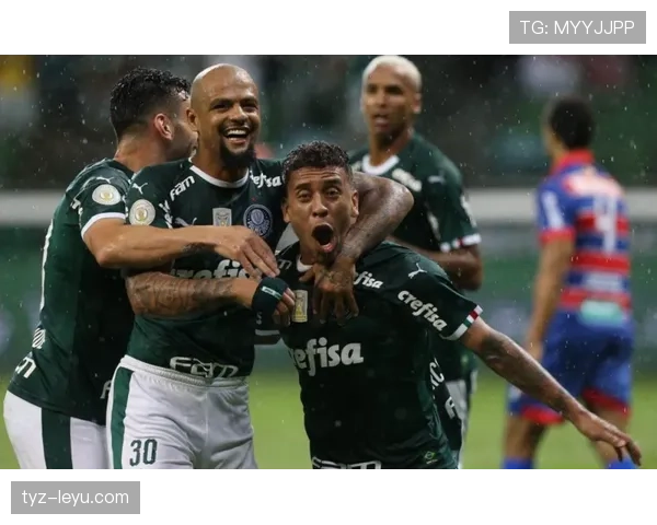 南美足球焕发新生：联赛激战正酣，球星状态强势回升